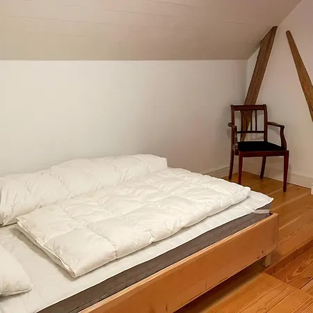 Pet Friendly In Haarby With Sauna