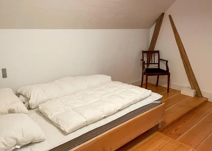 Pet Friendly In Haarby With Sauna